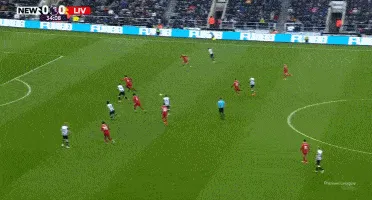 1733367532166028.gif 2.gif