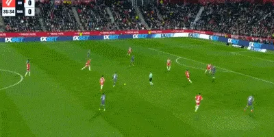 1733619460861959.gif 2.gif