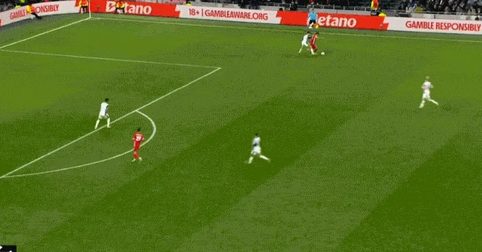 1741914479762109.gif 4.gif